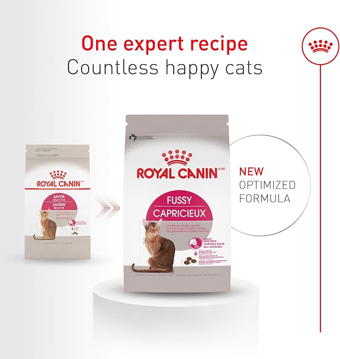 ROYAL CANIN Fussy Dry Cat Food for Adult Cats, Protein-Rich Kibbles for Picky Eaters, Poultry-Based, Supports Healthy Weight and Urinary Health, 7 lb Bag | For Adult Cats With Picky Appetites, Highly Appetizing Kibbles, Developed by Veterinarians