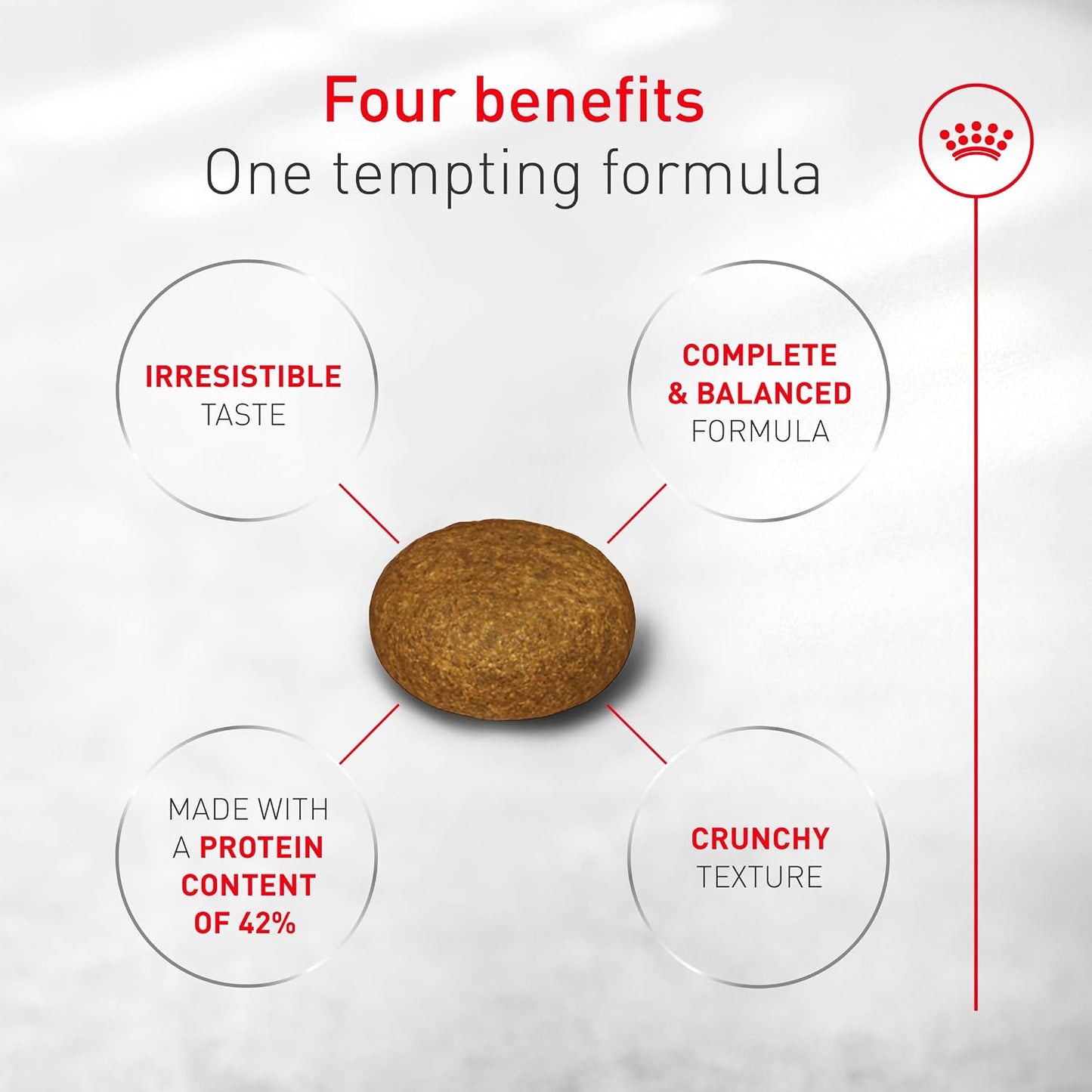 ROYAL CANIN Fussy Dry Cat Food for Adult Cats, Protein-Rich Kibbles for Picky Eaters, Poultry-Based, Supports Healthy Weight and Urinary Health, 7 lb Bag | For Adult Cats With Picky Appetites, Highly Appetizing Kibbles, Developed by Veterinarians