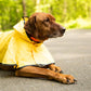 SPOT Rainy Days Slicker - Yellow Dog Rain Jacket With Hood, Reflective Strip for Safety, Leash Hole & Adjustable Velcro Belly Strap, 100% Polyester Water Resistant Pet Raincoat - Small, 9in Long
