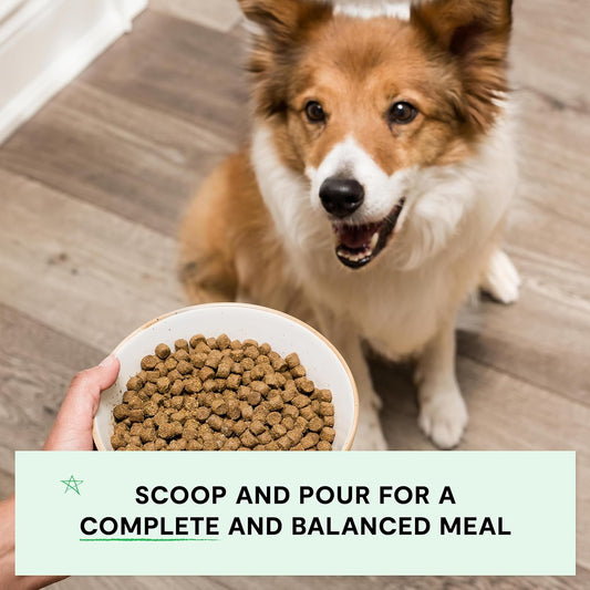 Open Farm Grain Free Dry Dog Food, Turkey and Chicken Kibble, 11lb Bag | All Life Stages, All Breed Sizes, Protein-Rich & Nutrient Dense, 100% Traceable Ingredients, Non-GMO Fruits & Veggies.